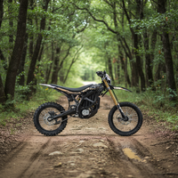 2026 Ultra Bee Black Edition 74V 24.5KW Sur Ron Ebike Surround Moto Tout-Terrain Électrique