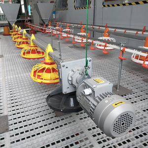 Sistema di Alimentazione Automatico per Allevamento di Polli da Carne per 50.000 Galline - Product Image 3