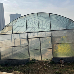 Mỹ thị Trường Duy nhất-span nhà kính với ánh sáng TRAMP, người hâm mộ và Máy hút ẩm - Product Image 3