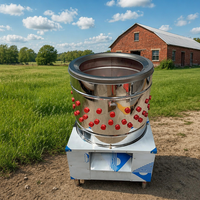 Machine à plumer les volailles en acier inoxydable pour poulets, canards, oies, cailles, pigeons – Équipement agricole pour petites exploitations