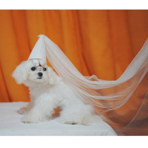 Vente en gros de chapeaux et nœuds papillon pour chiens, accessoires de mariage, voile, mariée, fête d'anniversaire - Product Image 2