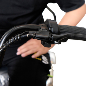 Tricycle électrique philippin à 3 roues, <span class=keywords><strong>scooter</strong></span> électrique homologué pour la route, moto électrique à trois roues pour adultes - Product Image 6