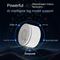 Dispositifs intelligents domestiques DeepSeek Smart AI Audio Model Tanabata Spectrum Spark Wen Xin Yyan Zhi avec batterie lithium intégrée de 600 mAh, sans application