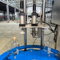 Automatische lineaire kurkermachine voor wijn, whisky en gin, afsluitmachine voor glazen potten en flessen, kurkendrukmachine