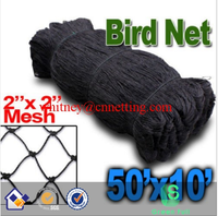 Maille de prévention des animaux nouée noire 50 'x 10' stylos de jeu de volière de poulet de volaille d'oiseau