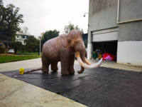 Éléphant gonflable géant, éléphant de dessin animé gonflable géant pour la publicité, décoration de rue