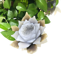 Natural Crystals Healing Stones, Hand Carved Crafts
