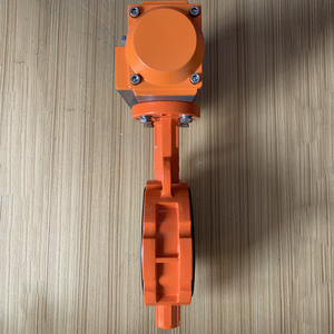 Conexión AC220V DN50 de 2 pulgadas, tipo hierro dúctil motorizado - Product Image 2