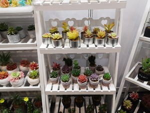 Artificial Succulents <strong>Plant</strong> <strong>Ceramic</strong> <strong>Pot</strong> with Tray - Product Image 6