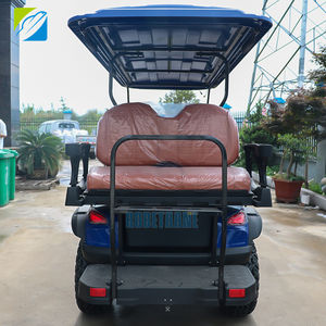 Многофункциональный бензиновый гольф-кар на 6 мест, внедорожный, для личного использования, класса люкс - Product Image 6