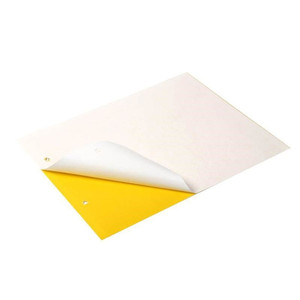 Piège adhésif double face en plastique solide jaune et bleu pour insectes, attractif pour thrips, moucherons et petites mouches de jardin - Product Image 1
