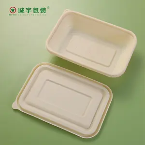 Disposable Composable Cornstarch Biodegradable Bento Box Lunch Box Clamshell Food Container Paper Food Containers