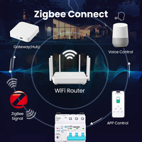 API Tuya 3P 63A Disjoncteur intelligent Zigbee avec mesure de consommation, contrôle à distance par minuterie Smart Life, interrupteur sans fil automatique à réenclenchement 10KA