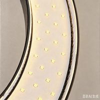 Éclairage photographique RL-18 de haute qualité, 18 pouces, 55W, température de couleur réglable, télécommande, 100-240V, 3 supports pour téléphone