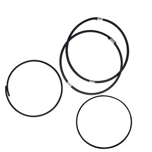 Remplacement du joint d'étanchéité pour pompe à vide à scroll DISL 503, matériau PTFE, application basse pression - Product Image 1