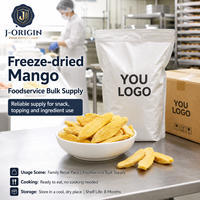 Gedroogde Mango Slices 100% Echt Mango Fruit Snack Klaar om te eten Gezond 15g/zak China Leverancier Groothandel OEM Private Label