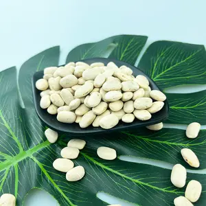 High Quality New Crop Natural Medium type White Kidney Bean For Canned