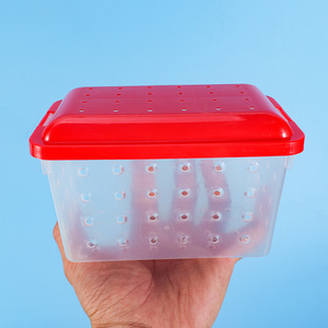 Jaula para transporte de reptiles Caja de cría y transporte de plástico para mascotas pequeñas Transpirable resistente a mordeduras a prueba de golpes - Product Image 3