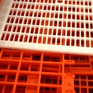 Caisse de transport pour poulets en plastique HDPE / Boîtes de transport pour volailles / Transporteur de volailles à vendre - Product Image 6