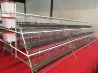 Cage à poules pondeuses pour le marché eBay d'équipements d'élevage avicole industriel – Solution complète d'équipement pour ferme avicole