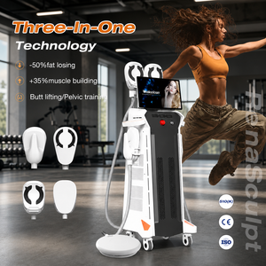 <span class=keywords><strong>Appareil</strong></span> de technologie professionnelle <span class=keywords><strong>pour</strong></span> cliniques de beauté, 5000W 15 Tesla RF, 4 poignées, MMS, gain musculaire, brûlage des graisses, <span class=keywords><strong>pour</strong></span> le remodelage corporel - Product Image 1