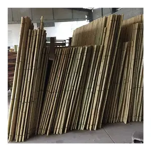 Chinese Supplier Sale Cheap Price Agricultural Construction Solid Dry Raw Bamboo Poles