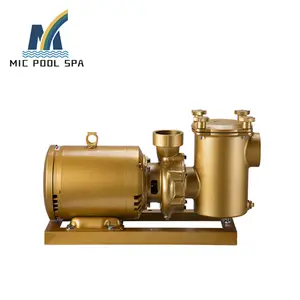 Large Commercial Swimming Pool 380v Water Treatment Circulating Pump Cast Iron Filter Pump