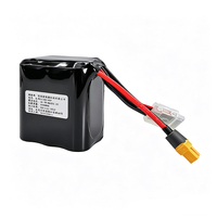 Batterie 21700 24V 5Ah à semi-conducteurs pour drone FPV, connecteur XT60, sangle de fixation sécurisée, montable, 1000 cycles pour alimentation électrique