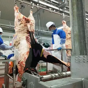 Bon fournisseur équipement d'abattoir machine de démasquage ligne d'abattage de bovins pour machines d'abattage de vaches