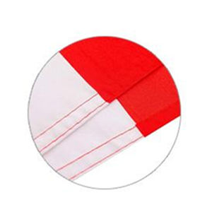 Banderas de León de Irán Personalizadas de Alta Calidad, Impresión Digital, Impermeables, Ecológicas, de Poliéster 100D, 3 x 5 Pies, Pancartas Publicitarias - Product Image 6