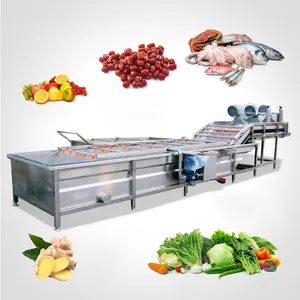 Mesin cuci sayur mangga, mesin produksi sayuran beku, Mesin cuci kentang, buah alpukat, gelembung industri komersial