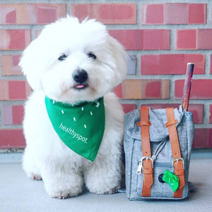 <span class=keywords><strong>Sac</strong></span> <span class=keywords><strong>à</strong></span> <span class=keywords><strong>dos</strong></span> rétro tendance de style britannique en tissu Oxford monochrome pour Schnauzers, Bouledogues <span class=keywords><strong>français</strong></span>, Shiba Inus - <span class=keywords><strong>Sac</strong></span> de transport pour chien - Product Image 4