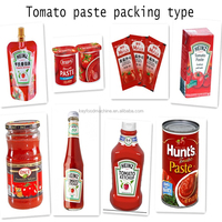 Energiebesparende Tomatenpuree Fabriek Ketchup Jam Productie Verpakkingslijn Fruit & Groente Machines