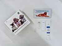 Kit de test rapide d'anticorps de leishmanie canine tests de diagnostic rapides pour animaux de compagnie Test de flux latéral de Leishmania canis