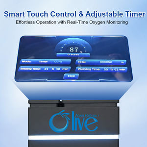 مولدات أوكسيجين طبية 20 لتر من الزيتون PSA 20 لتر مكثف أوكسيجين سريري 20 لتر مع CE - Product Image 5