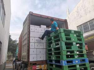 Adhesivo Sintético de Neopreno para Unir Zapatos de Freno, para Madera, Plástico, Goma y Espuma - Product Image 6