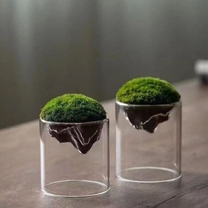Moderne Vermehrungsvase Topf Wasser-Hydrokultur-Pflanzgefäß Transparentes Glas-Pflanzenterrarium Mit Holzständer - Product Image 6