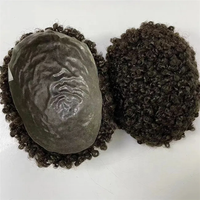 Perruques bouclées pour hommes, postiche en cheveux naturels, noir, durable, 15mm, pour les hommes de l'Amérique africaine, 100%