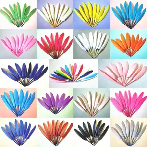 White and Colorful Goose Wing Natural Feather for arrow