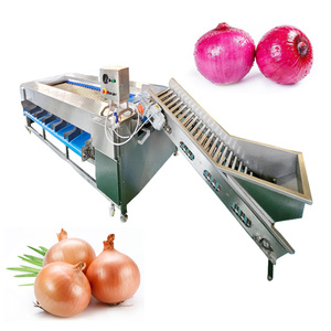Fournisseur de la Chine Machine de tri d'oignons Machine de classement de fruits avec le meilleur <span class=keywords><strong>prix</strong></span> - Product Image 2