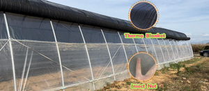 Serres solaires toutes saisons avec double paroi et couverture isolante pour la culture des légumes - Product Image 4