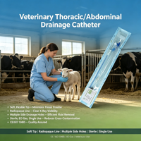 Cathéter de drainage des effusions pleurales pour chats