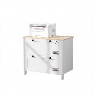 Archivador de 2 Cajones con Cerradura, MDF, Diseño Minimalista, Solución de Almacenamiento para Oficina - Product Image 1