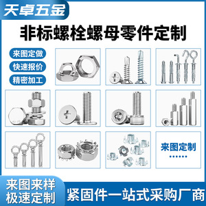 Tianzhuo <b>Hardware</b> Custom Screws Nuts Stainless Steel Zinc Plated Precision Machining Fasteners - Product Image 2