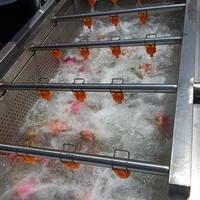 Lijn Voor Wassen En Kalibreren Vruchten Kersen Eten Wassen Fruit Groenten Machine