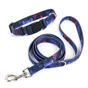 Robustes Umweltfreundliches Gurtband mit Walmuster, Passendes Hundehalsband und Leine für Kleine Jungen, Mädchen, Hunde, Katzen und Haustiere - Product Image 2
