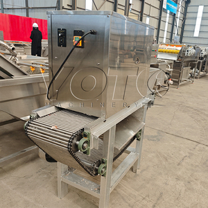 Machine à éplucher l'ail professionnelle emballage d'azote ligne de Machine à éplucher l'ail industriel - Product Image 4