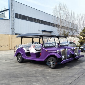 Purple Custom Style Electric Sightseeing Best-selling Classic Car Classic Style Sightseeing Bus Classic Car Best-selling - Product Image 5