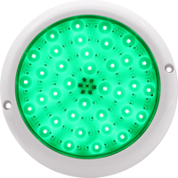 Projecteur LED Submersible Étanche pour Piscine, Petite Taille 240mm, Télécommande RGB 10W 12W 18W AC12V IP68 Ultra Léger