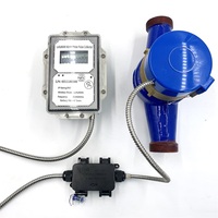 Compteur d'impulsions Lorawan en plastique à affichage à cristaux liquides, Module de compteur d'eau à vendre